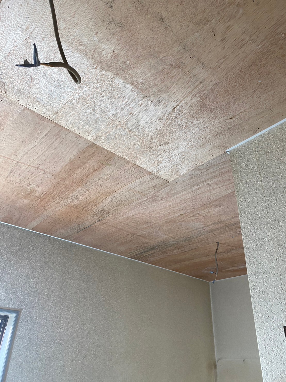 LINE_ALBUM_きちん_230420_0_0