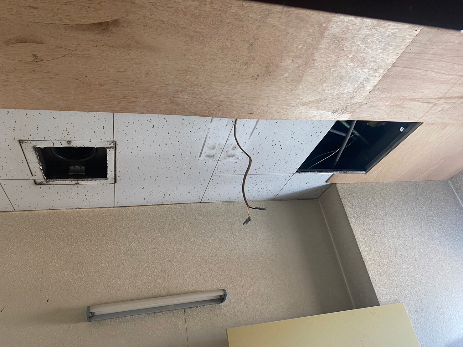 LINE_ALBUM_きちん_230420_1_0