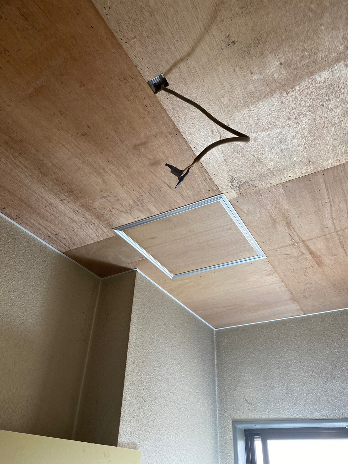 LINE_ALBUM_きちん_230420_2_0