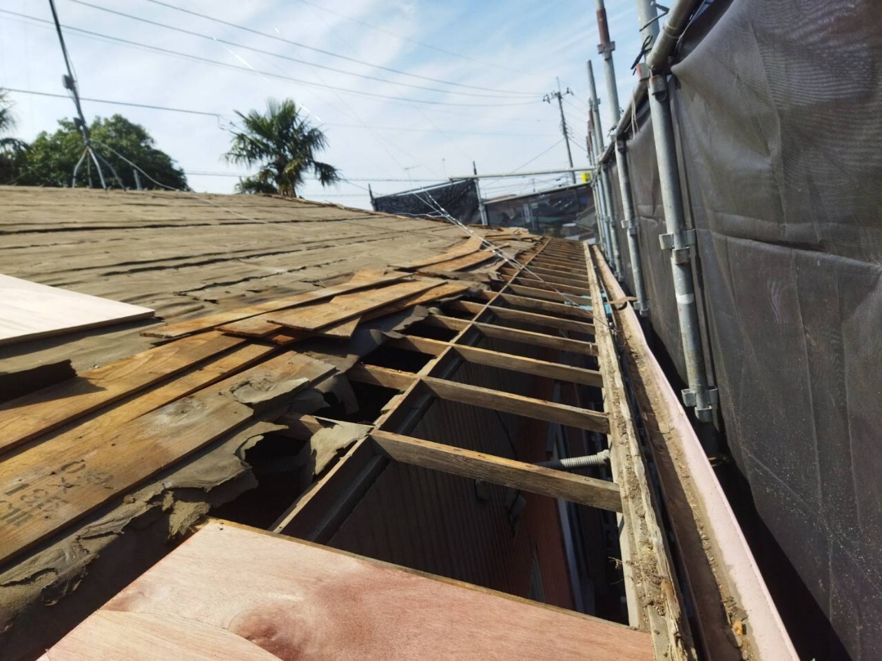 LINE_ALBUM_20230629_230629_5