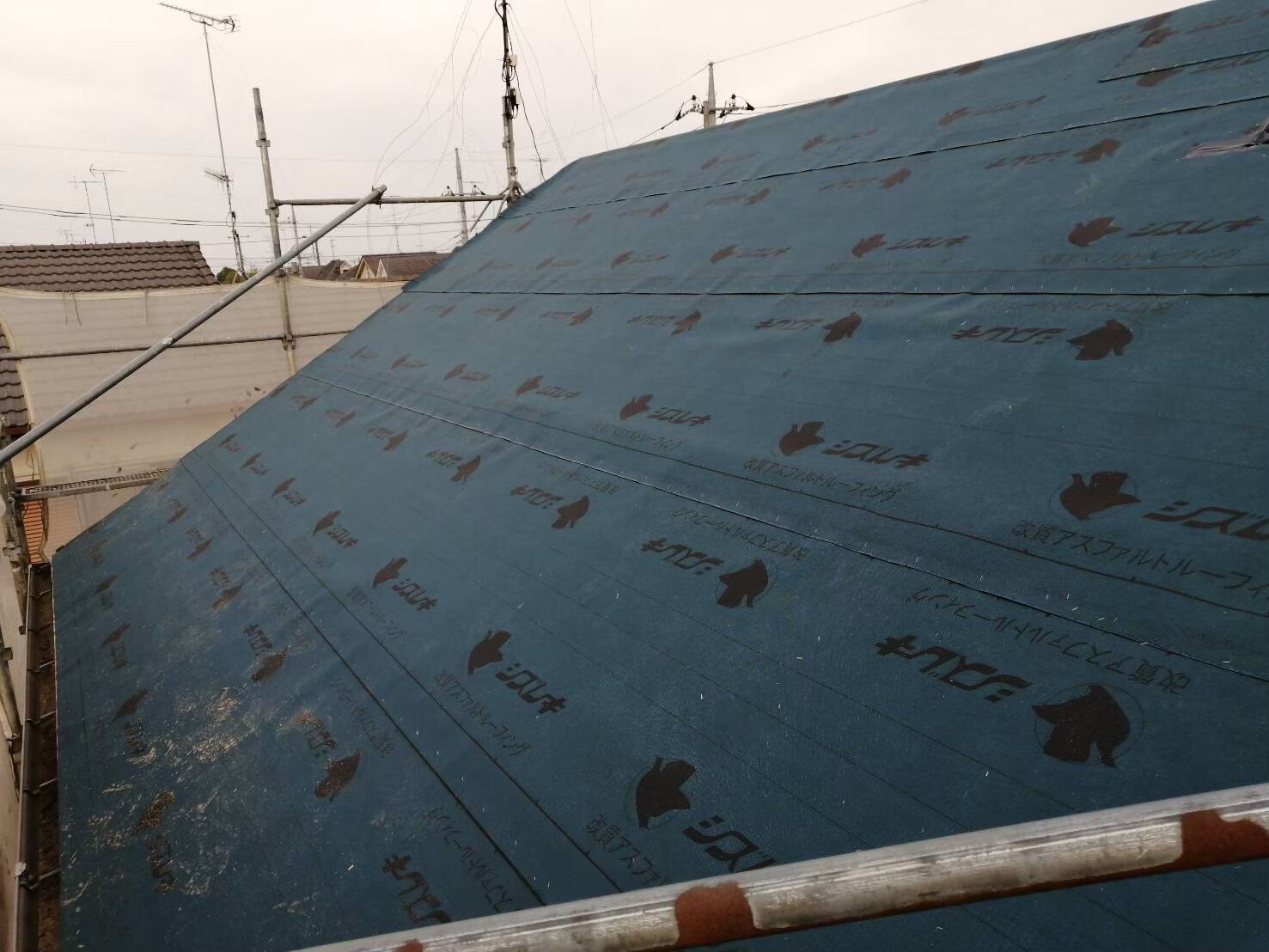 LINE_ALBUM_20240121_240314_11