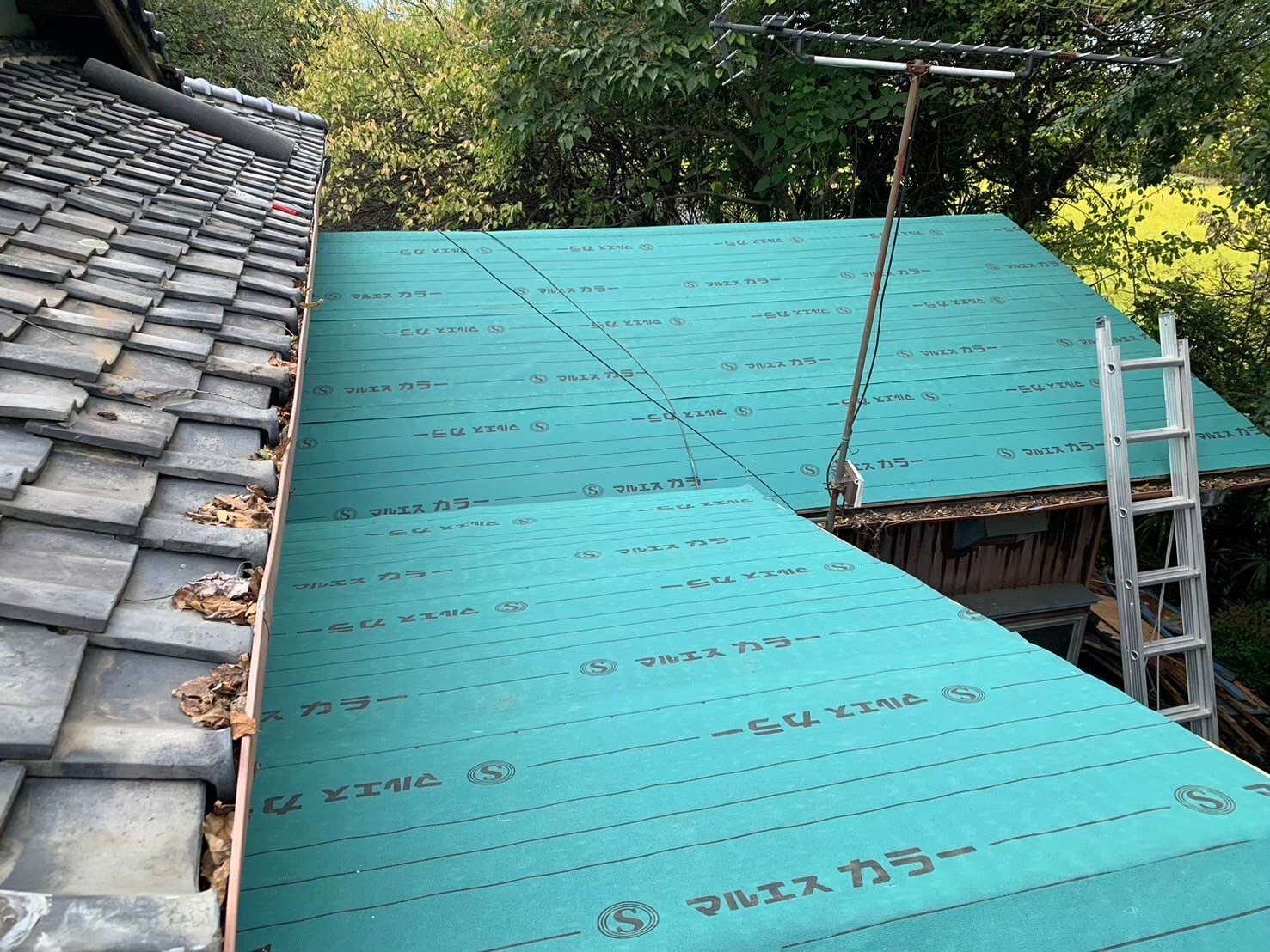 LINE_ALBUM_20250327_250609_22