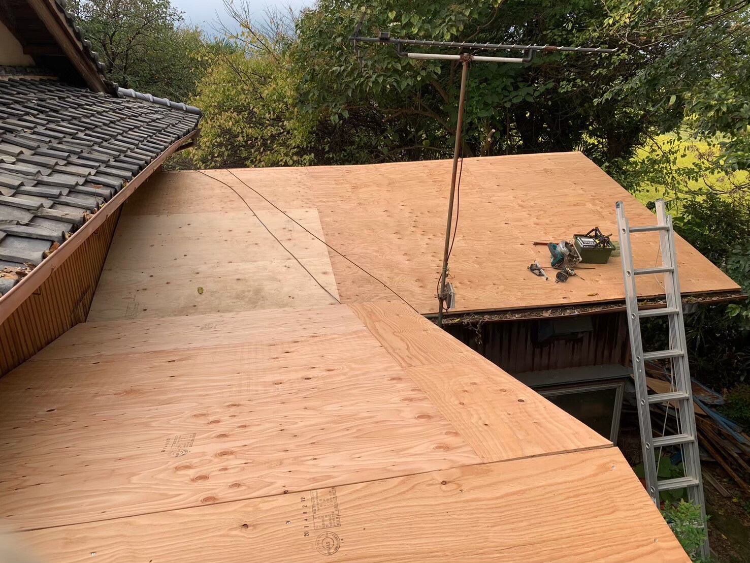 LINE_ALBUM_20250327_250609_23