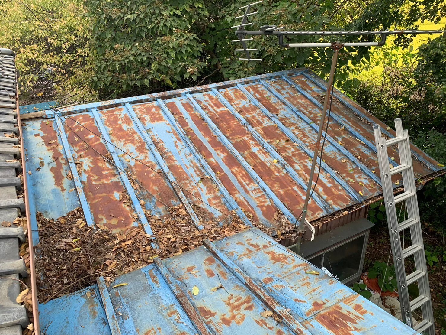 LINE_ALBUM_20250327_250609_25