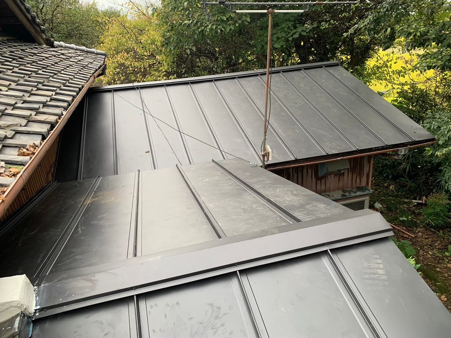 LINE_ALBUM_20250327_250609_18