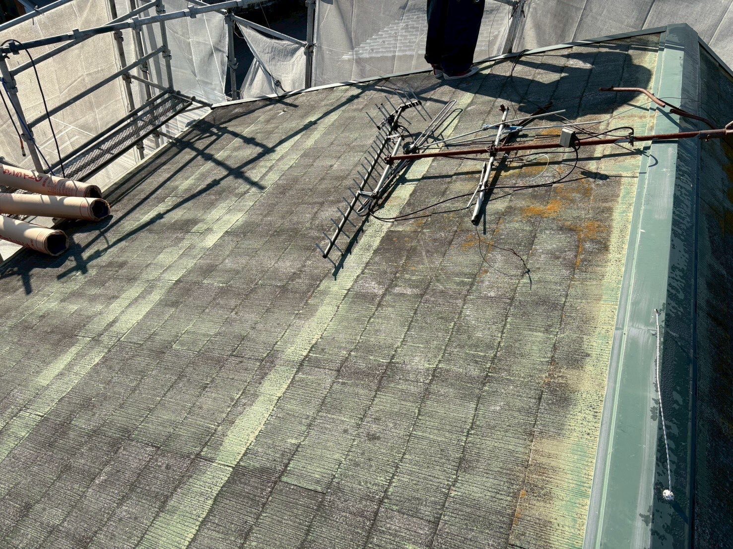 LINE_ALBUM_20260223_260223_2