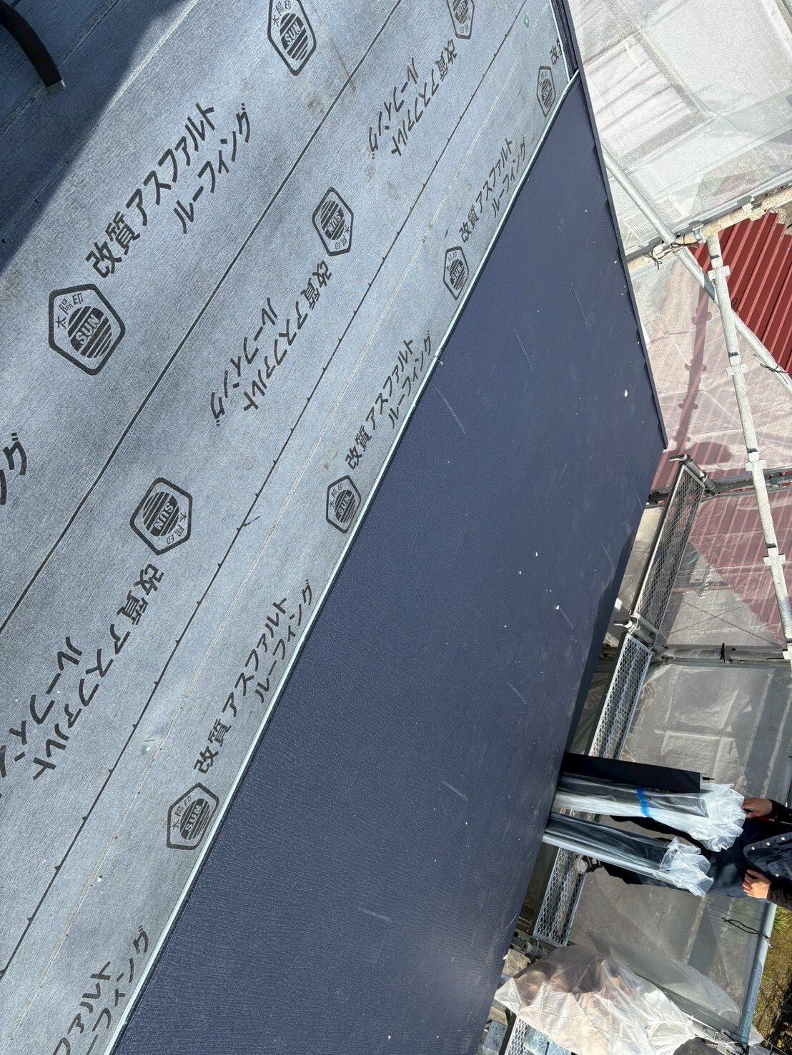 LINE_ALBUM_20260223_260223_3