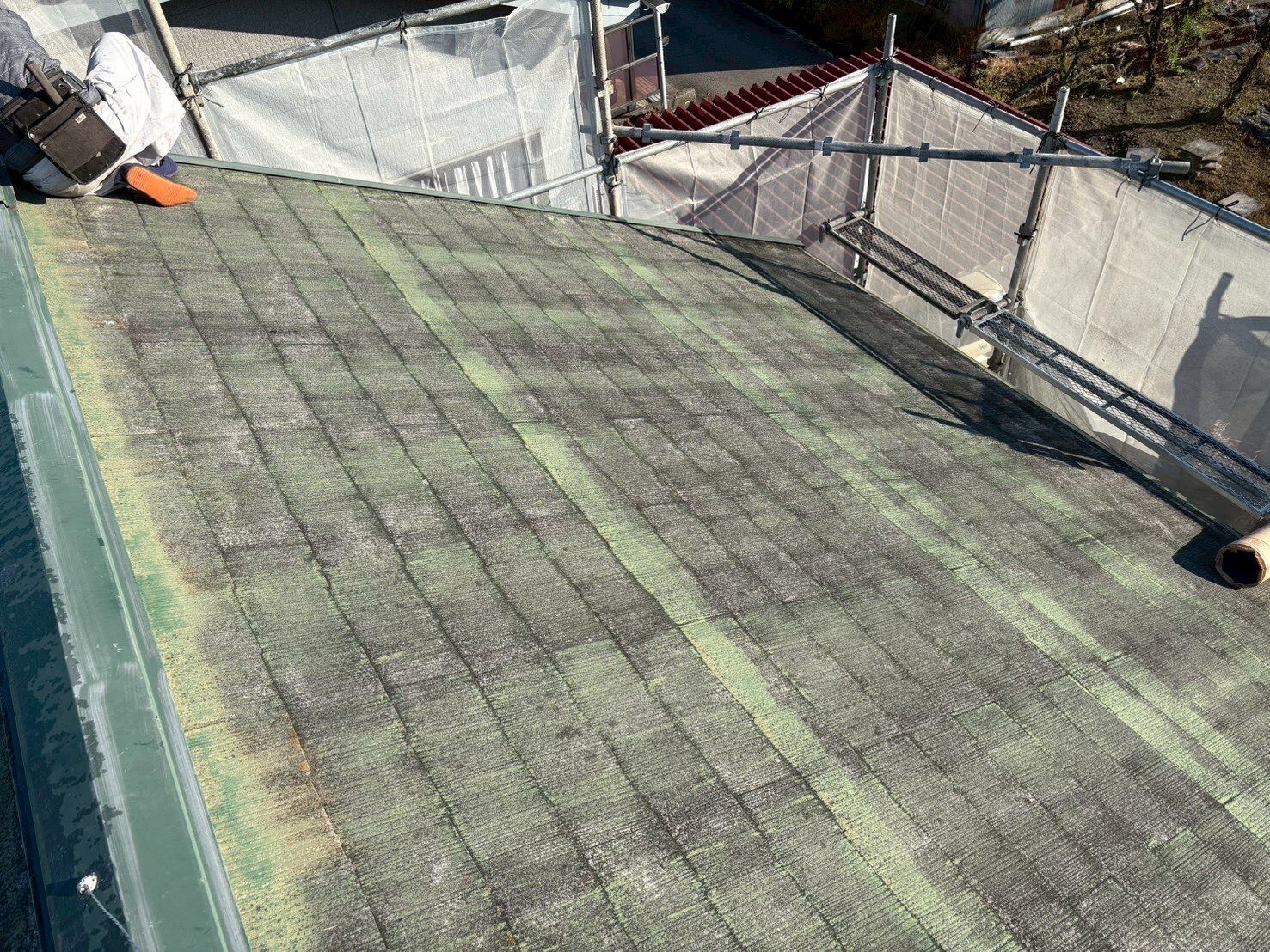 LINE_ALBUM_20260223_260223_5