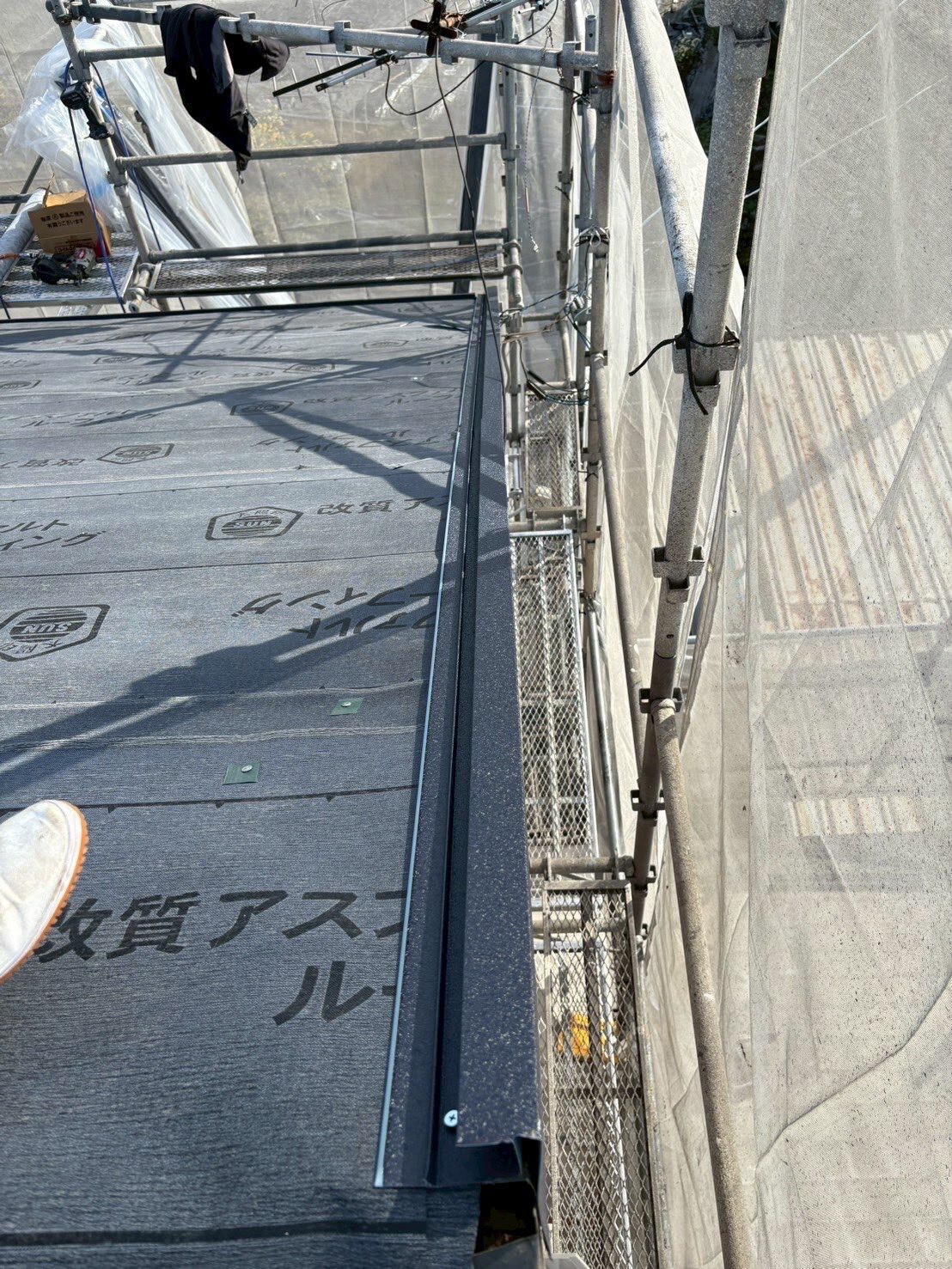 LINE_ALBUM_20260223_260223_8