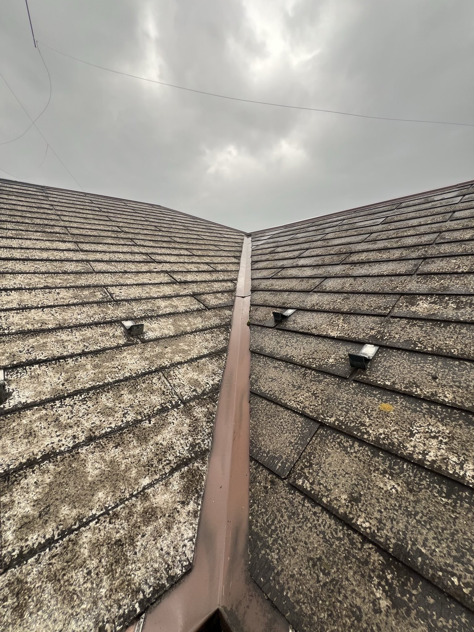 LINE_ALBUM_20260508 _1_260508_2
