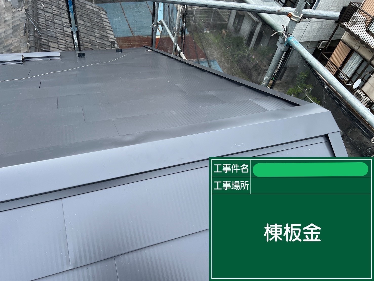 棟板金